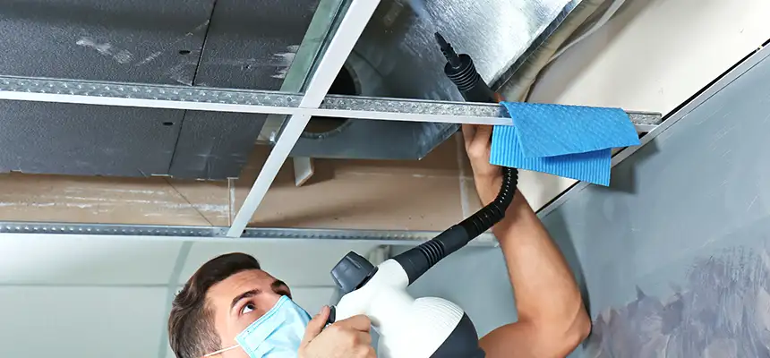 Our Air Duct Rodent Removal Services in Lake Forest, IL