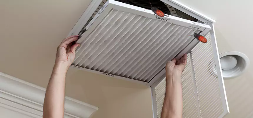Our Insect Removal from Air Ducts Services in Lake Forest, IL