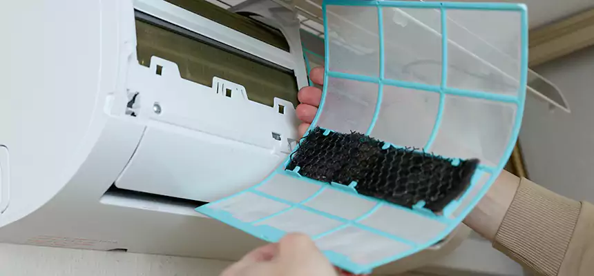 Gentle Ductwork Odor-Control Pet Dander Duct Cleaning in Lake Forest, IL