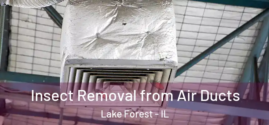  Insect Removal from Air Ducts Lake Forest - IL