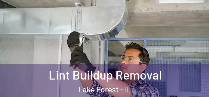 Lint Buildup Removal Lake Forest - IL