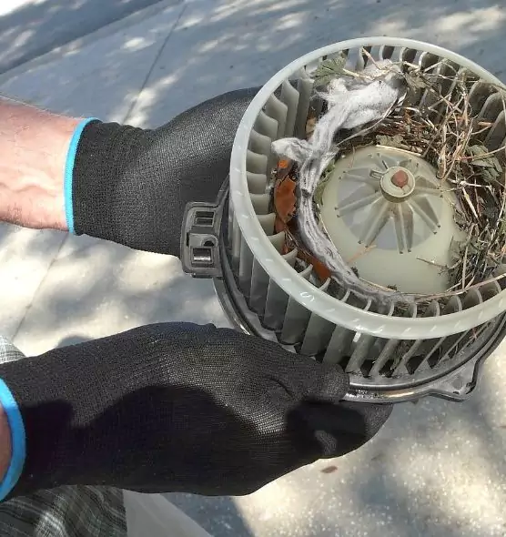 About Air Duct Mice Removal in Lake Forest, IL