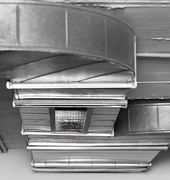 Professional Air Duct Pet Hair Removal in Lake Forest, IL