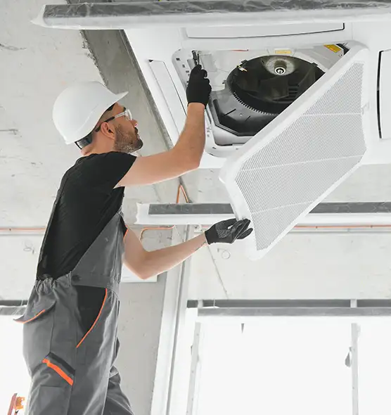 About Air Duct Rodent Removal in Lake Forest, IL