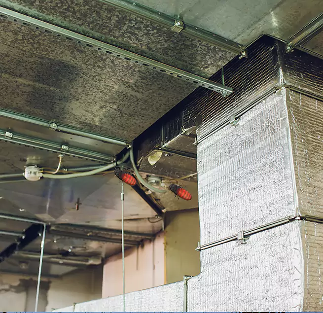 Why Homeowners & Businesses Trust Us in Lake Forest, IL?