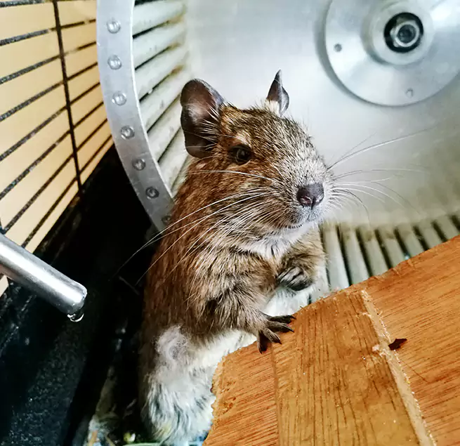 Why Homeowners & Businesses Trust Us Lake Forest, IL