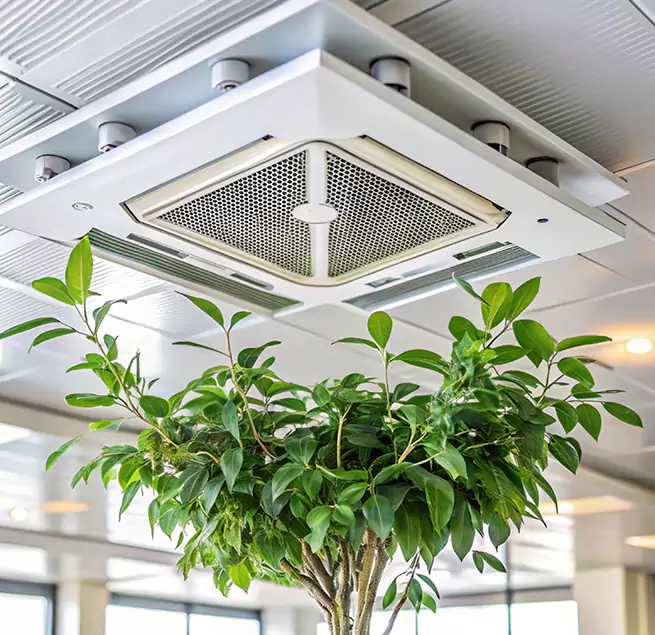 Why Homeowners & Businesses Trust Us in Lake Forest, IL