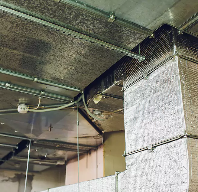 Why Homeowners & Businesses Trust Us in Lake Forest, IL?